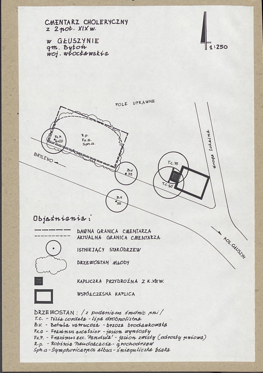 KC - Karta cmentarza, skan nr 3