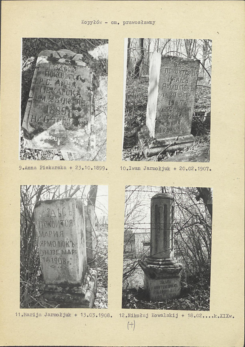 Karta cmentarza, skan nr 6