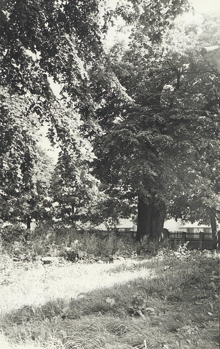 Karta cmentarza, skan nr 8