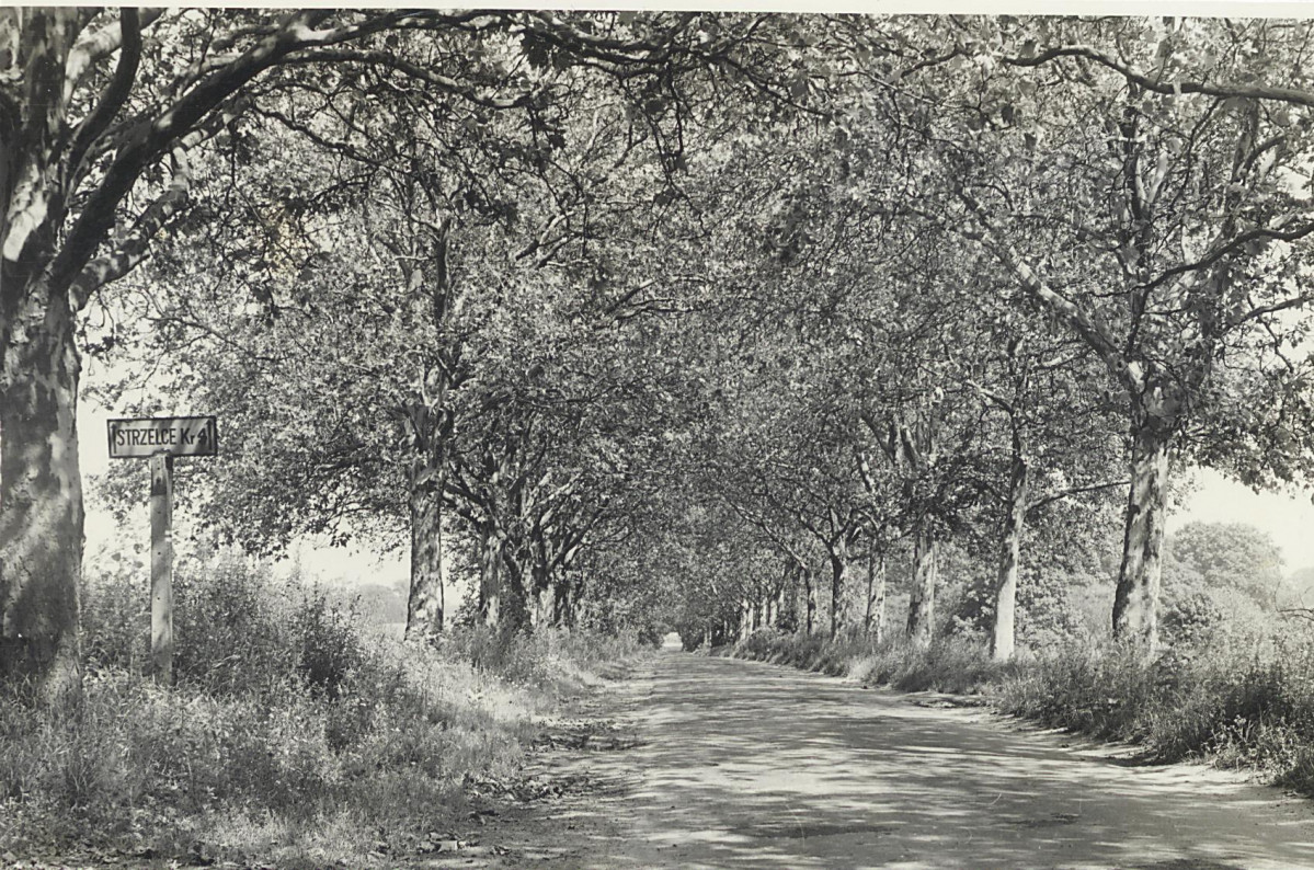 Karta cmentarza, skan nr 10