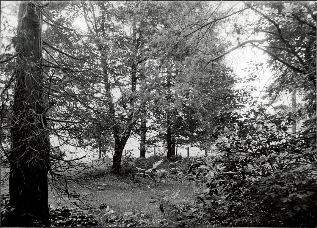 Karta cmentarza, skan nr 6