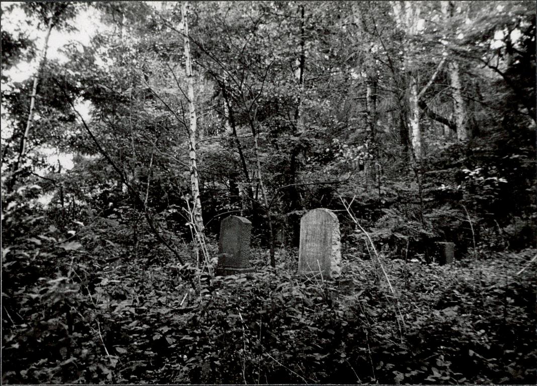Karta cmentarza, skan nr 8