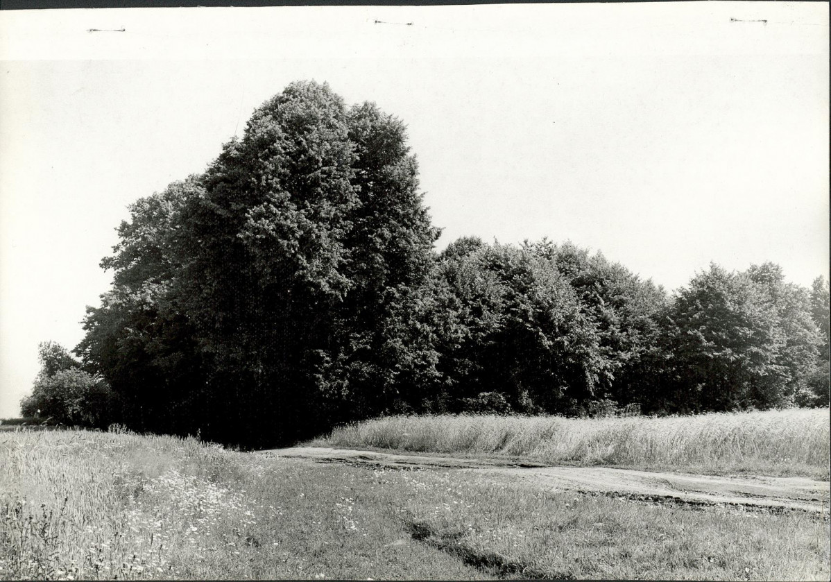 Karta cmentarza, skan nr 6