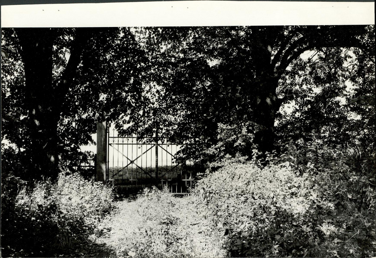 Karta cmentarza, skan nr 8