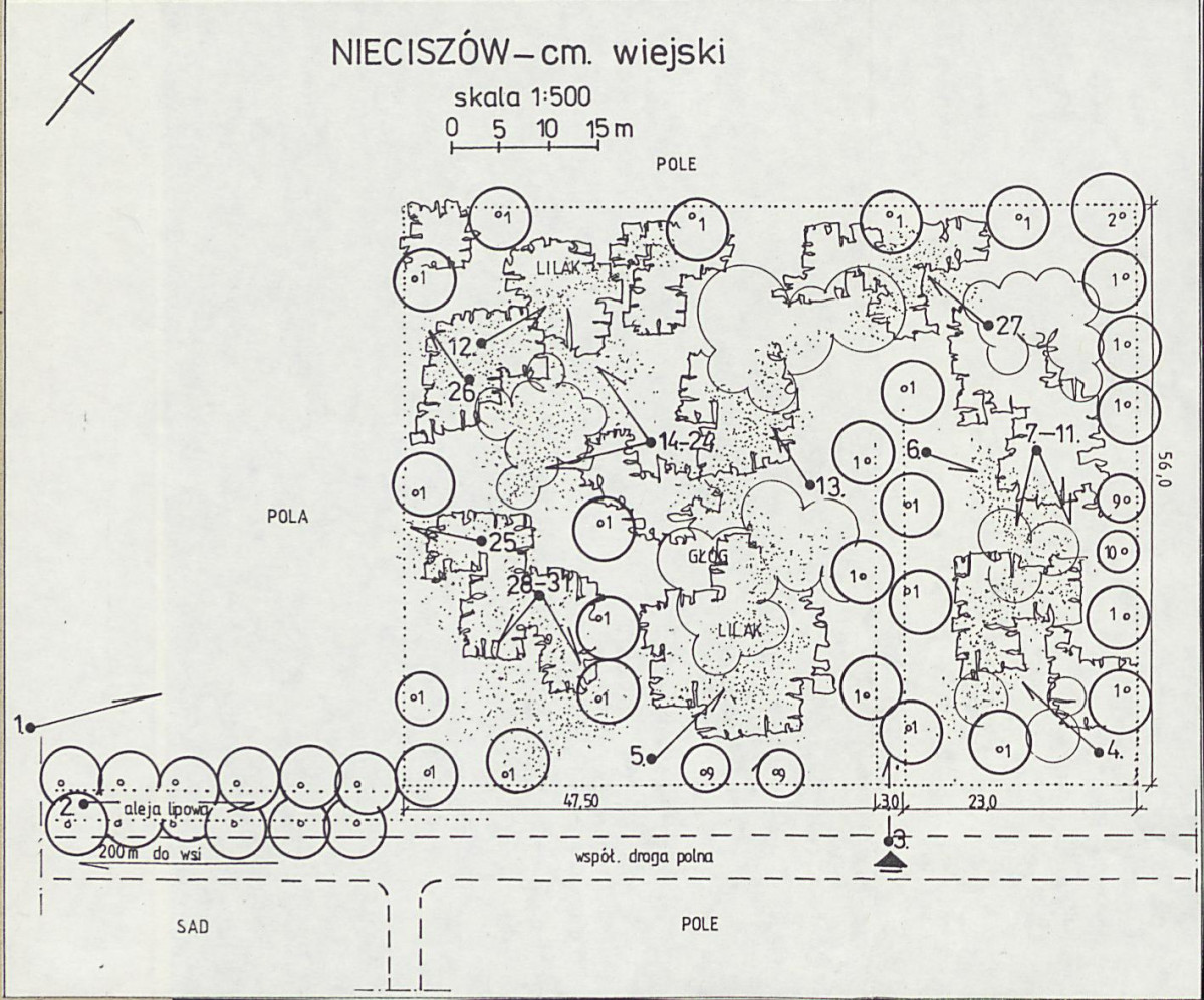 Karta cmentarza, skan nr 3