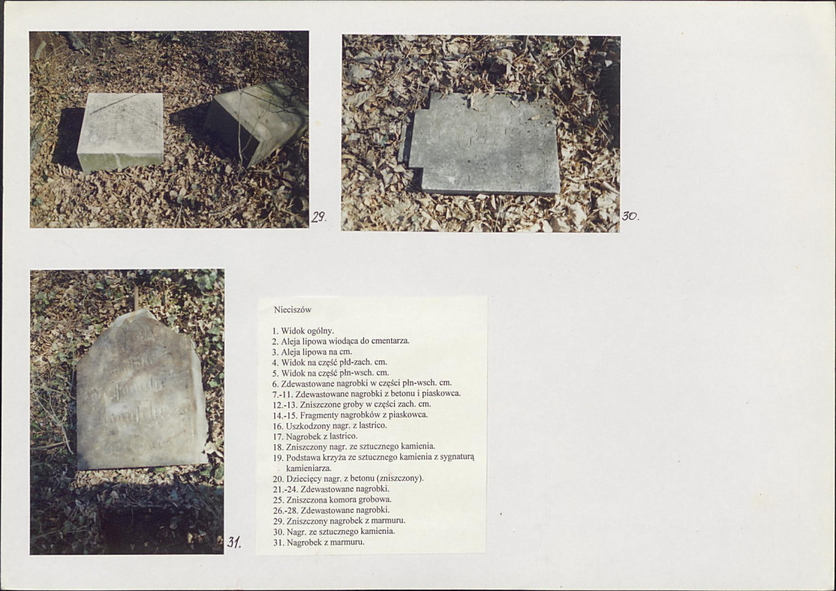 Karta cmentarza, skan nr 11