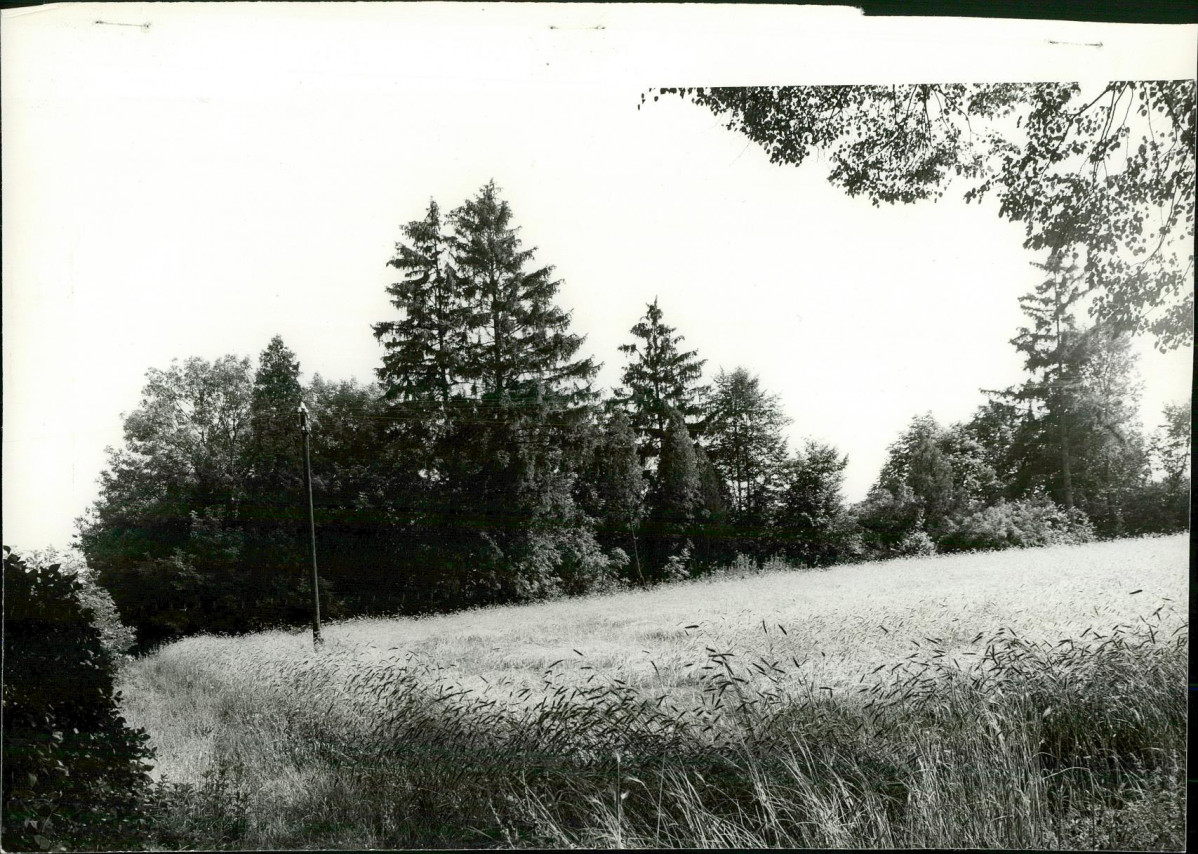 Karta cmentarza, skan nr 5