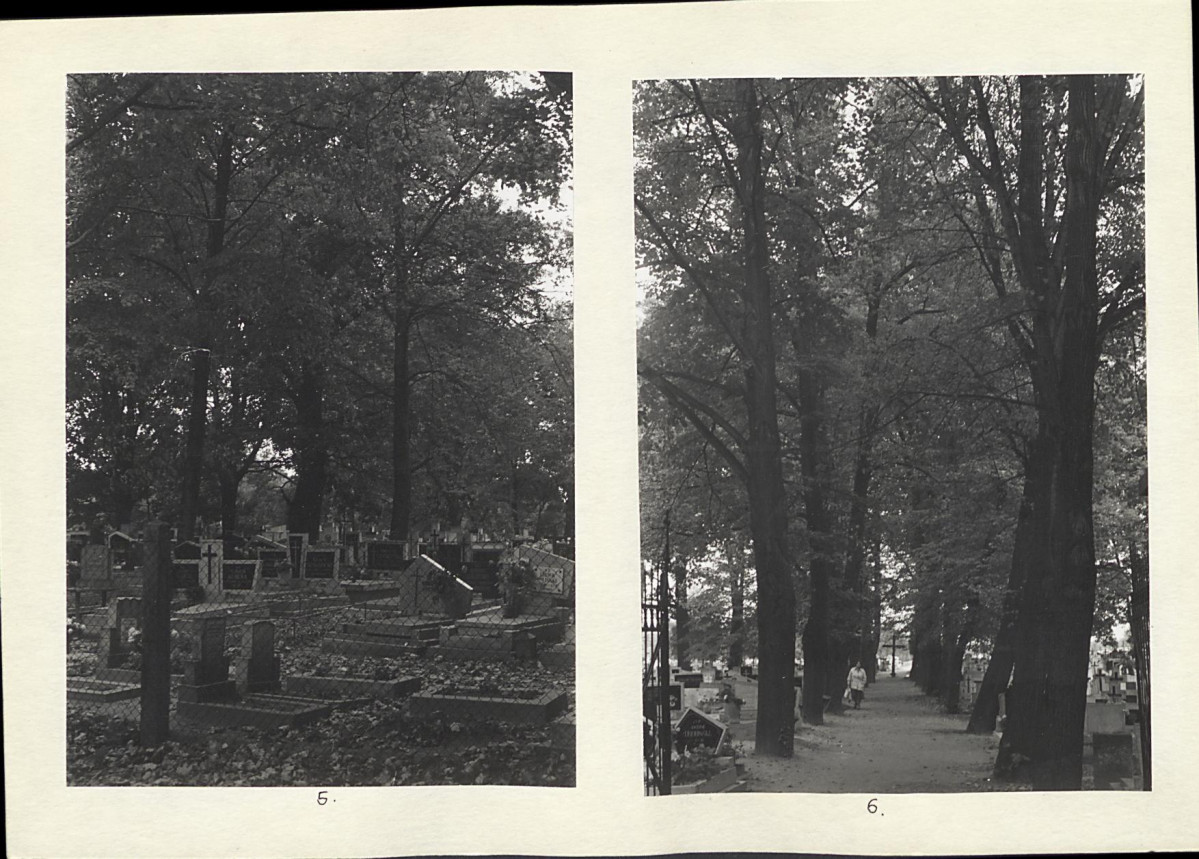 Karta cmentarza, skan nr 6