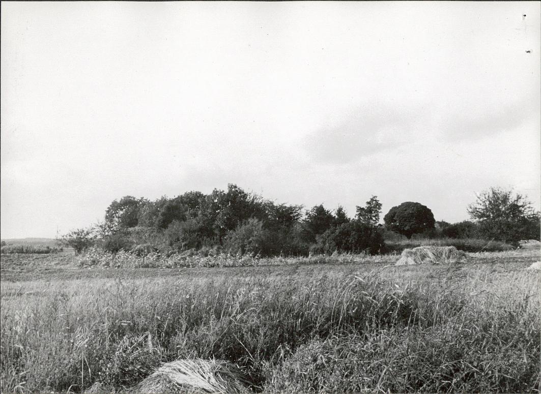 Karta cmentarza, skan nr 5