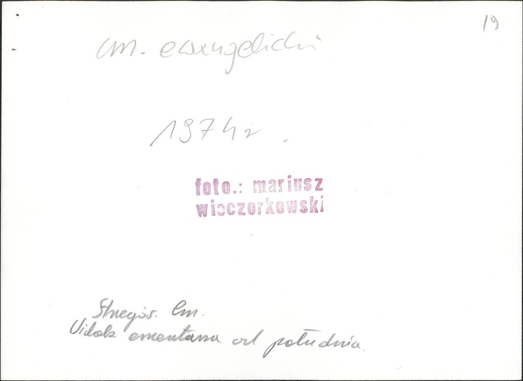 Karta cmentarza, skan nr 6
