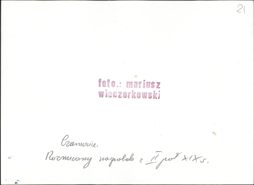 Karta cmentarza, skan nr 6