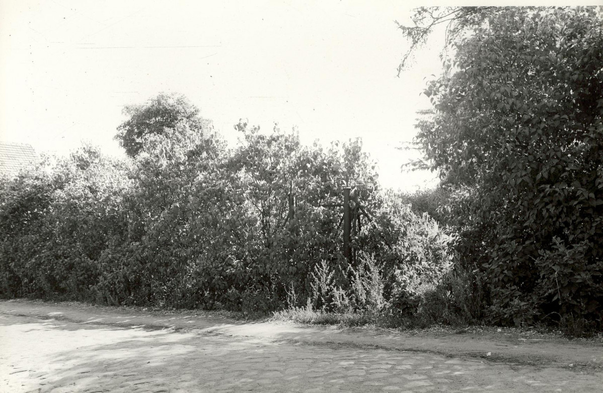 Karta cmentarza, skan nr 8