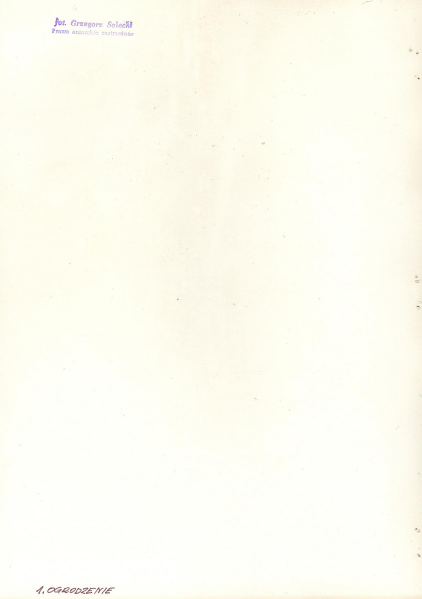 Karta cmentarza, skan nr 9