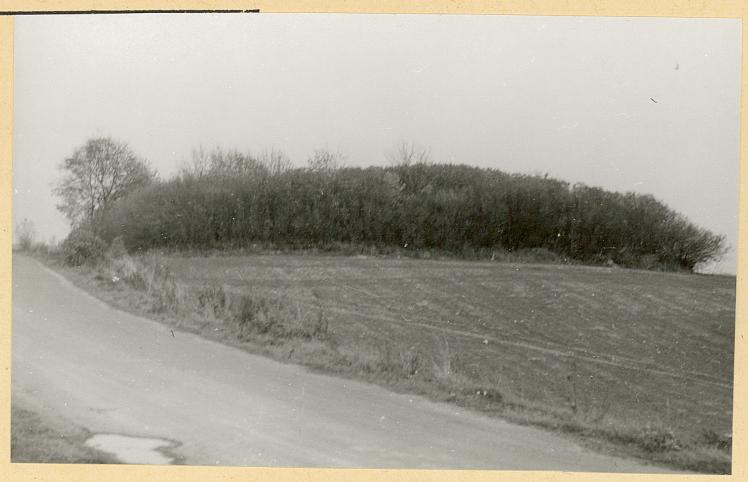 KC - Karta cmentarza, skan nr 4
