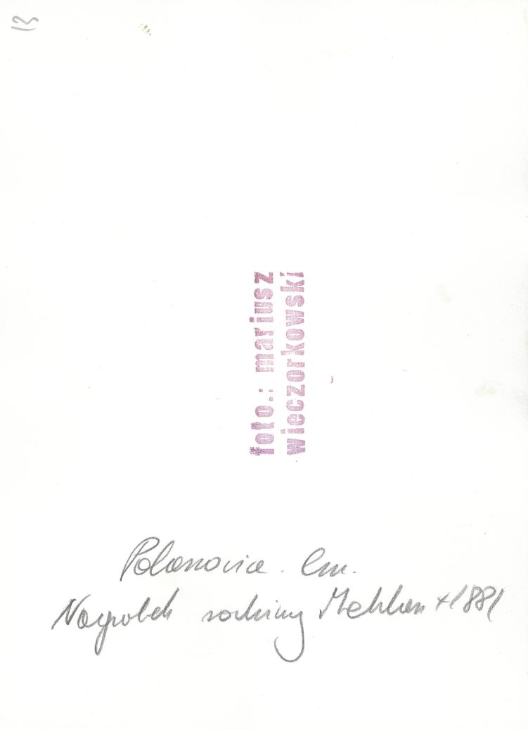 Karta cmentarza, skan nr 7