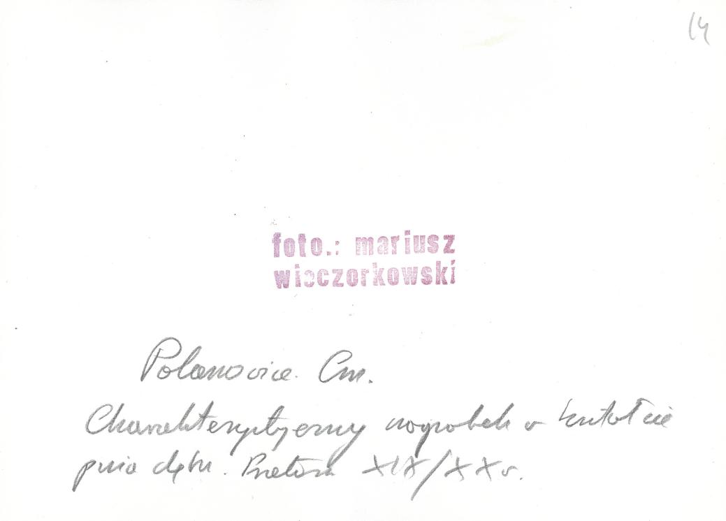 Karta cmentarza, skan nr 9