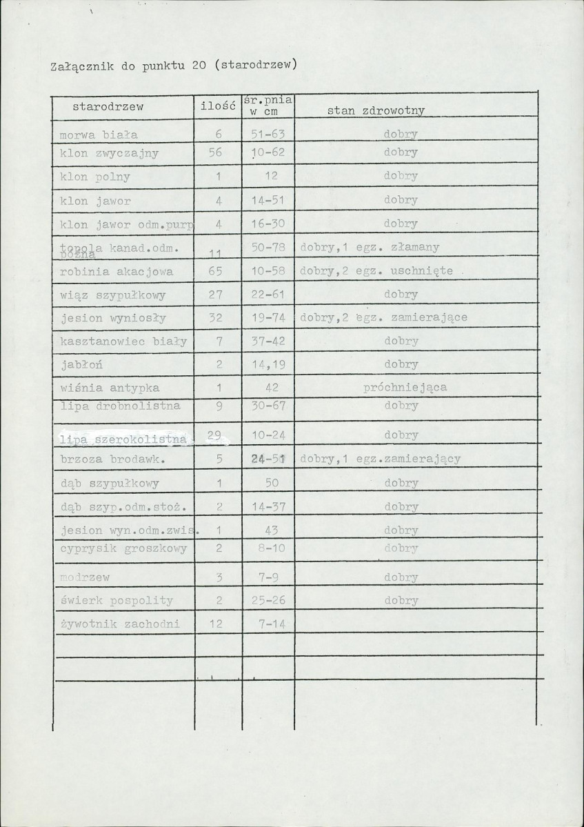Karta cmentarza, skan nr 6
