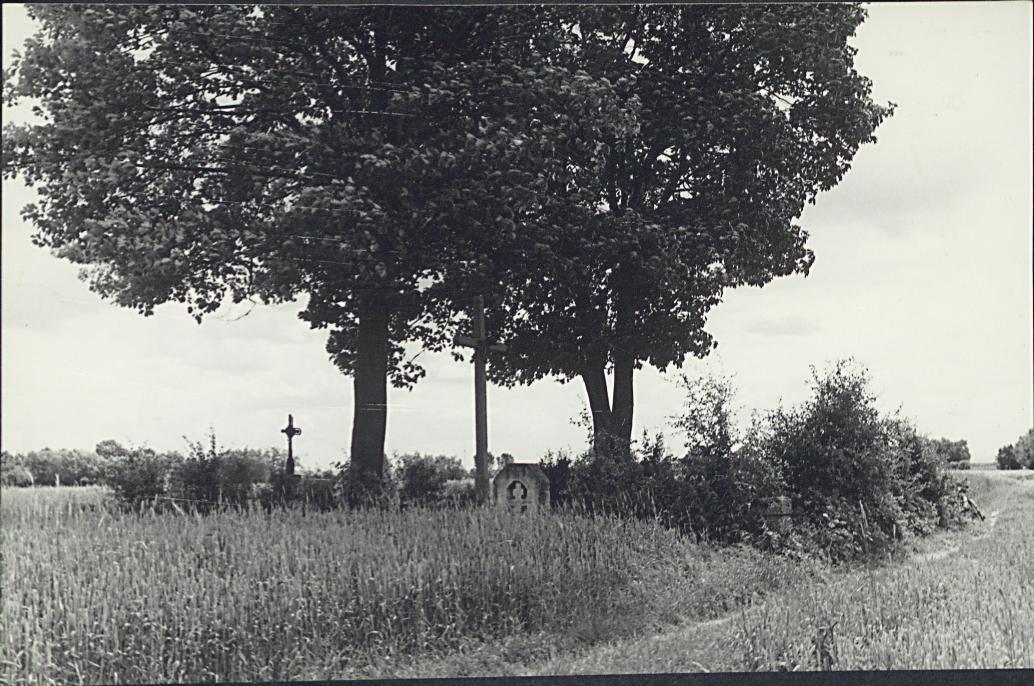 KC - Karta cmentarza, skan nr 11