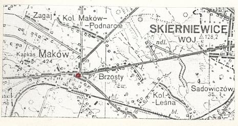Karta cmentarza, skan nr 4