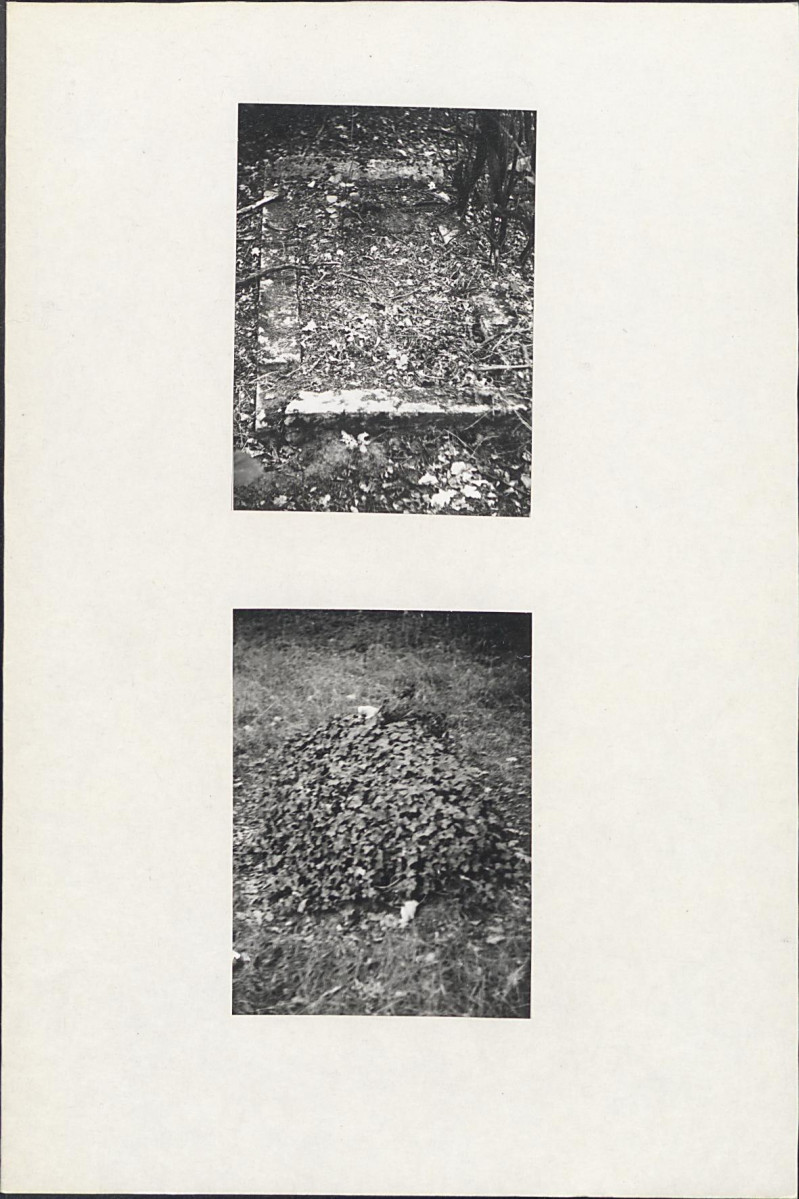 Karta cmentarza, skan nr 5