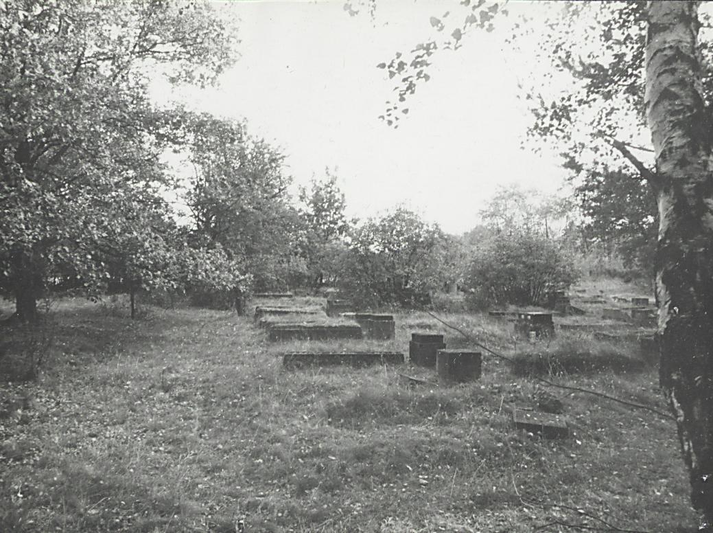 Karta cmentarza, skan nr 5