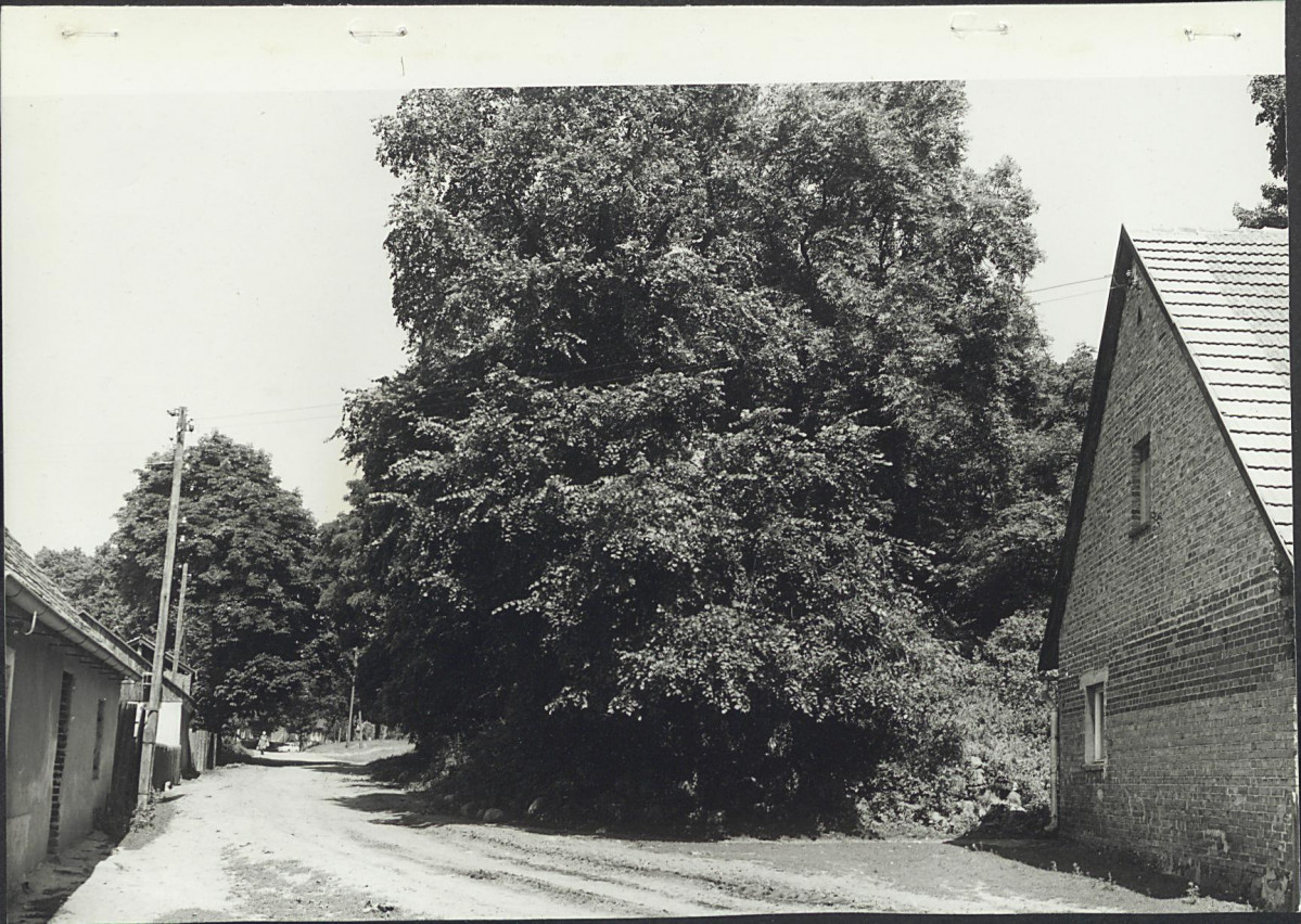 Karta cmentarza, skan nr 5