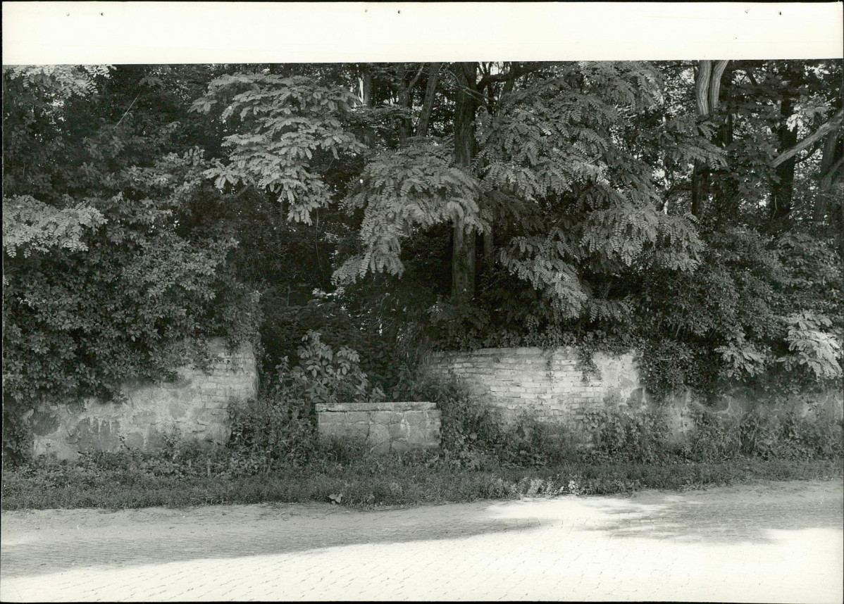 Karta cmentarza, skan nr 8