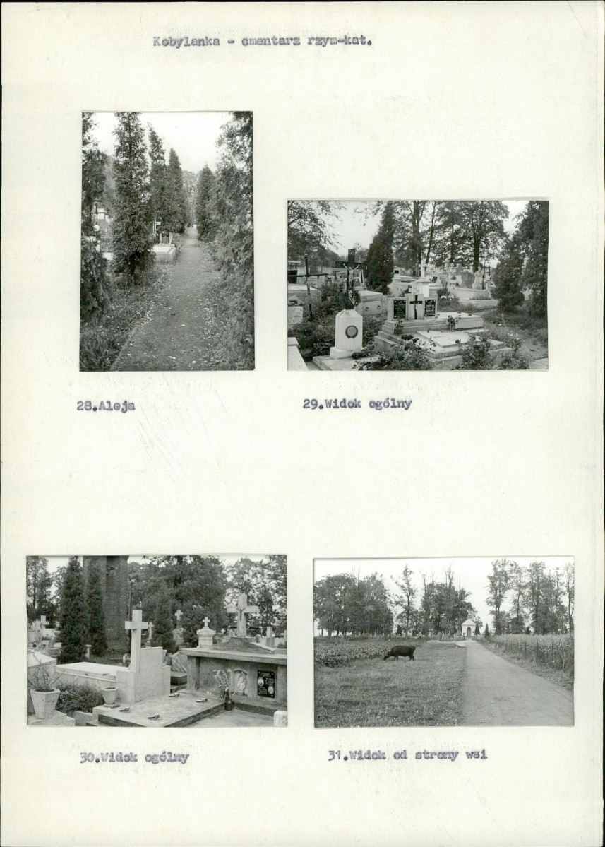 Karta cmentarza, skan nr 11