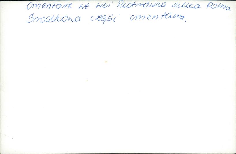 KC - Karta cmentarza, skan nr 9