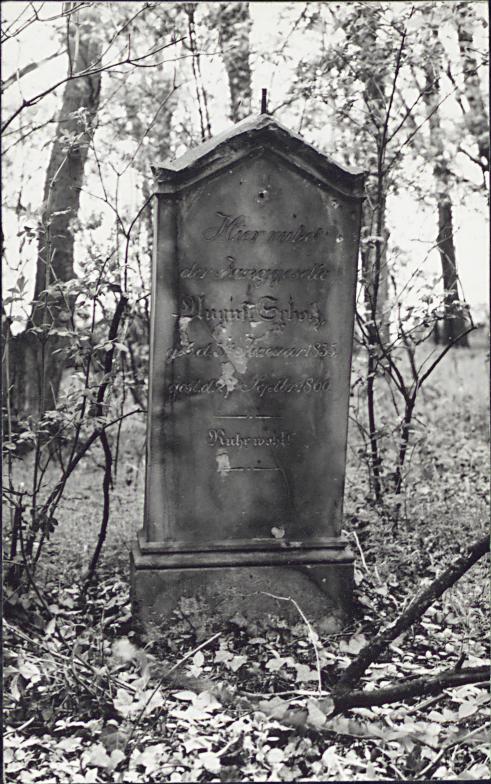 Karta cmentarza, skan nr 15