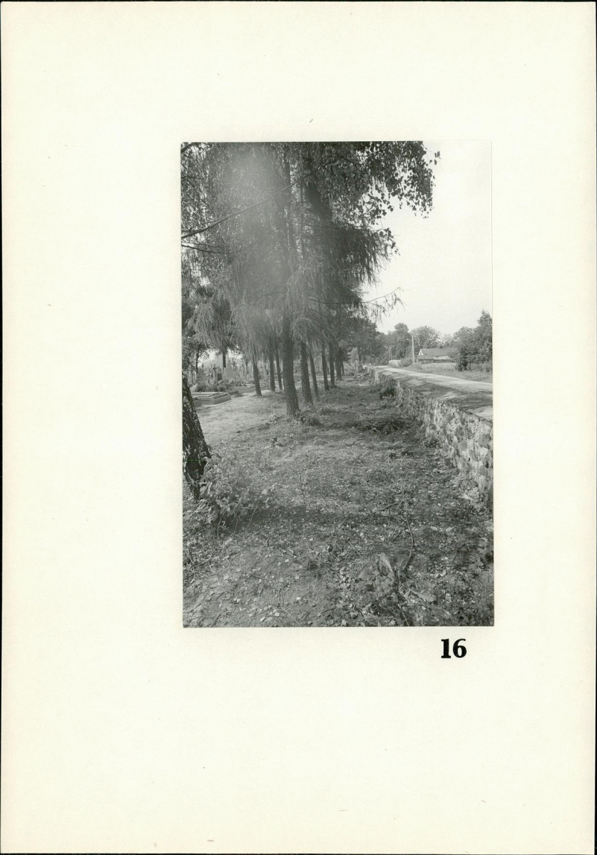 Karta cmentarza, skan nr 15