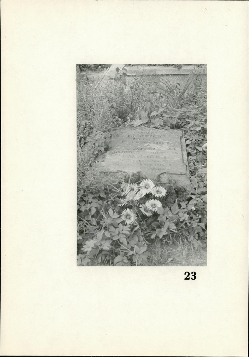 Karta cmentarza, skan nr 20