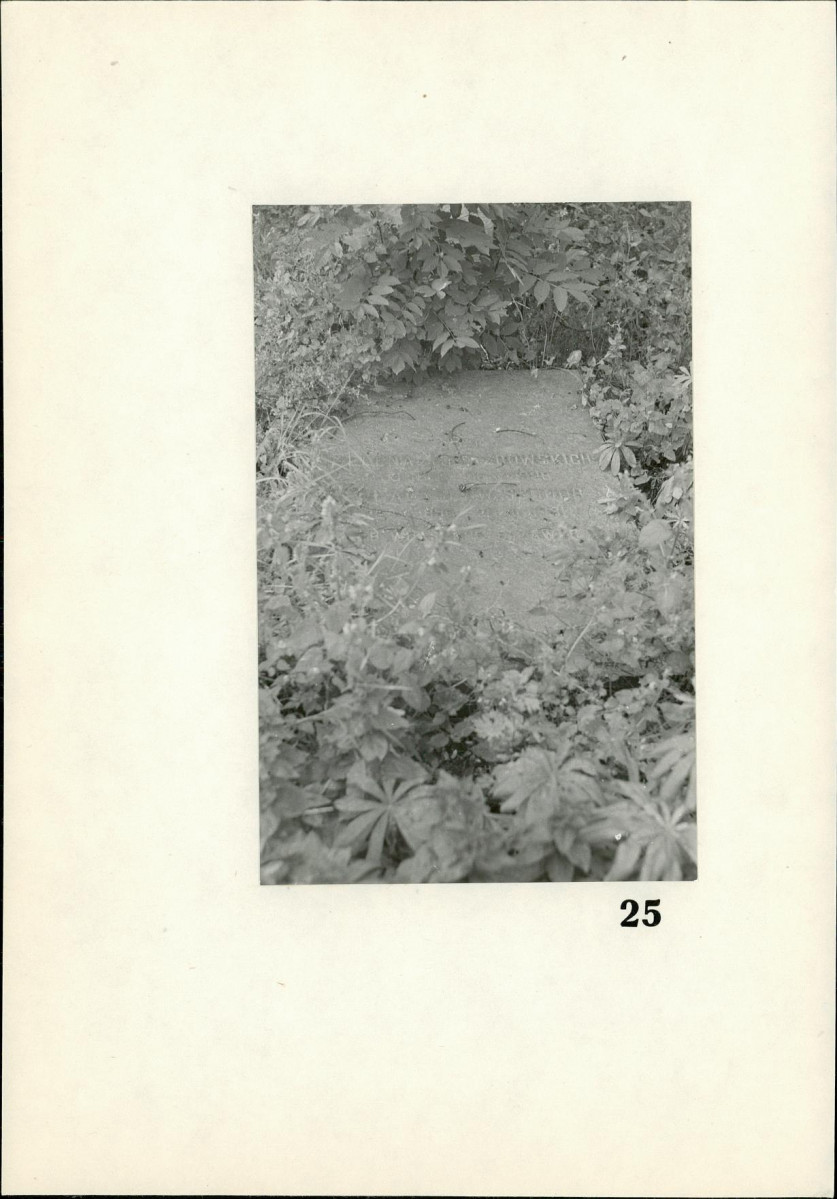 Karta cmentarza, skan nr 22