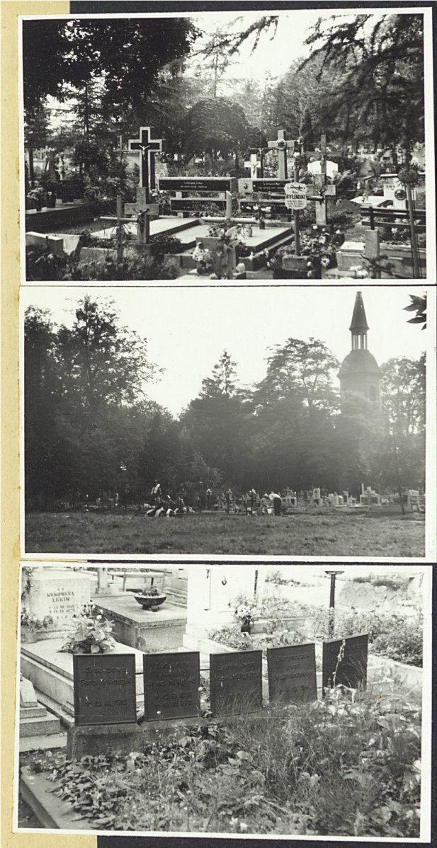 Karta cmentarza, skan nr 7