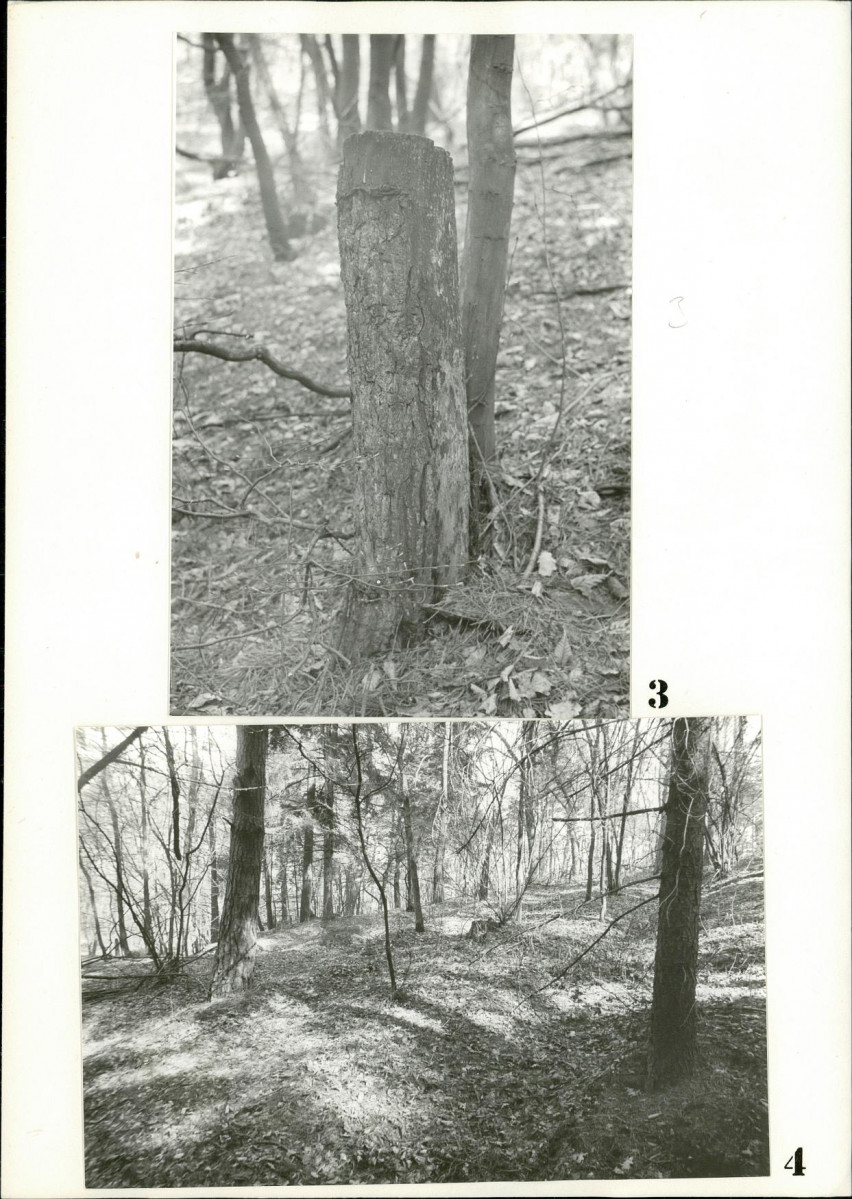 Karta cmentarza, skan nr 6