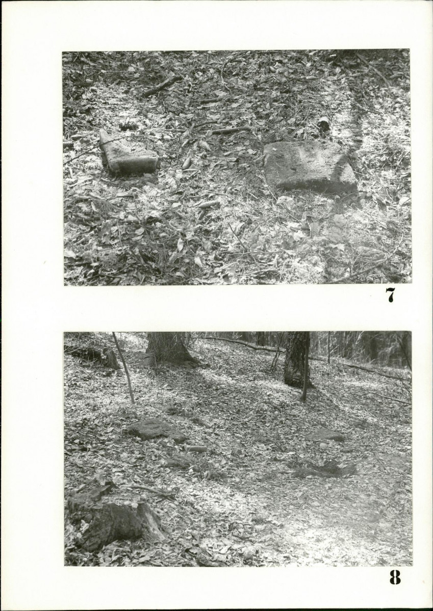 Karta cmentarza, skan nr 8