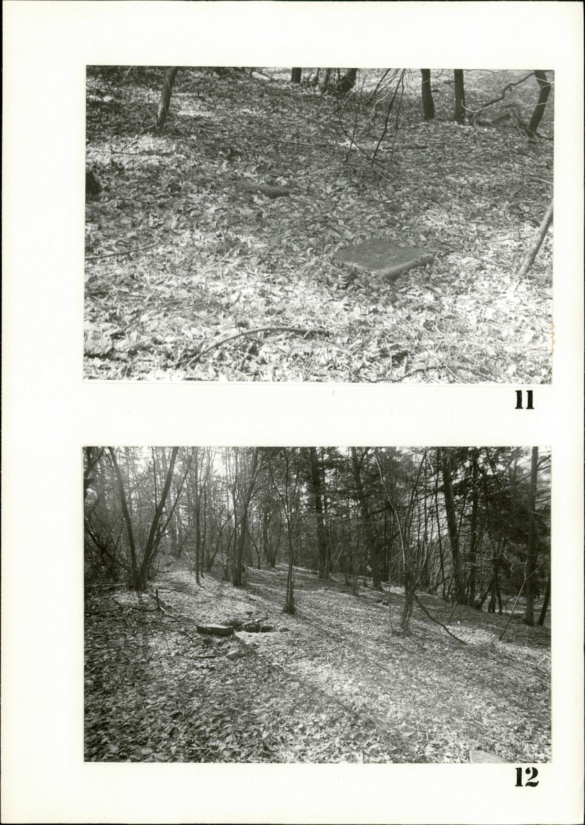 Karta cmentarza, skan nr 10