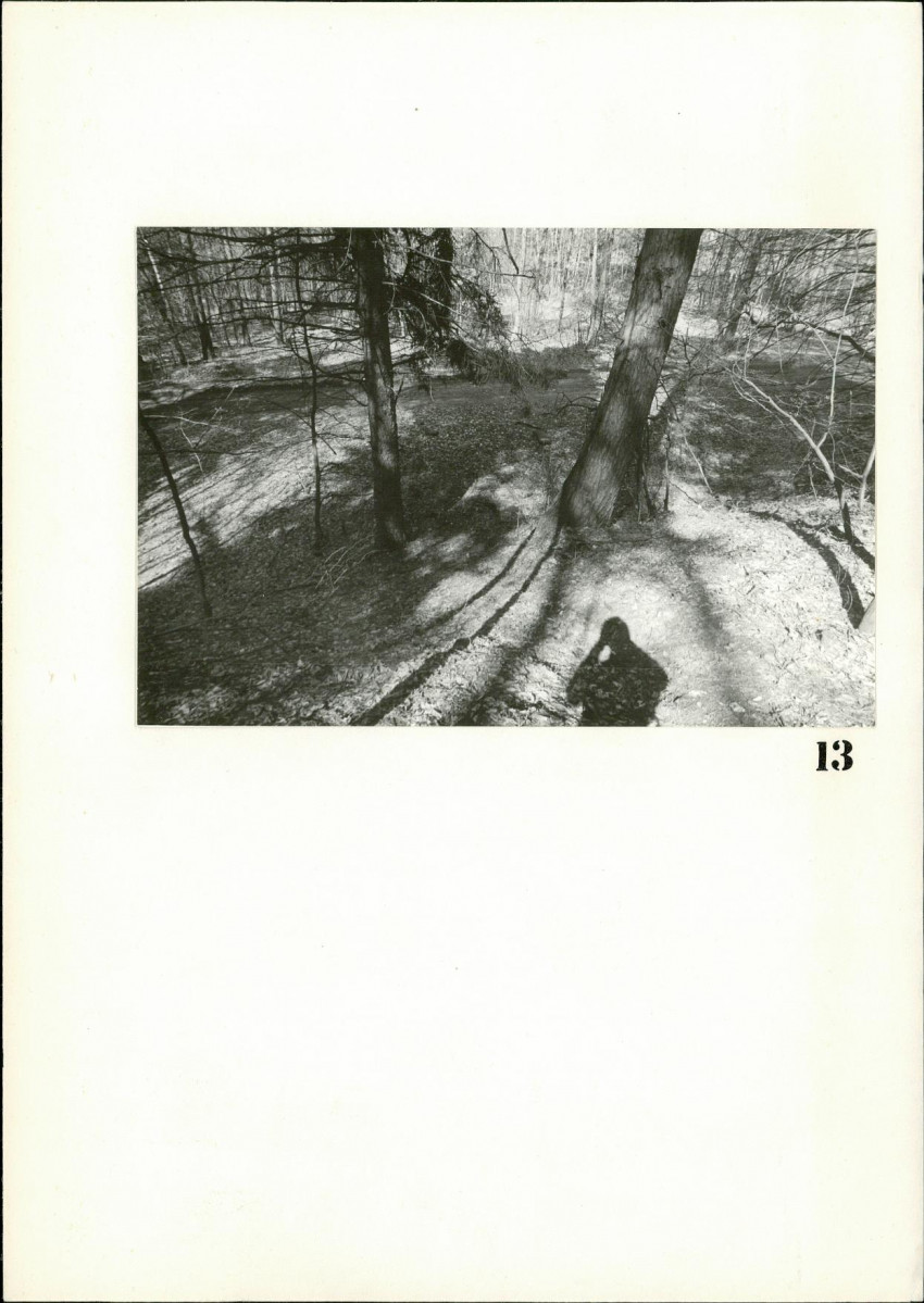 Karta cmentarza, skan nr 11