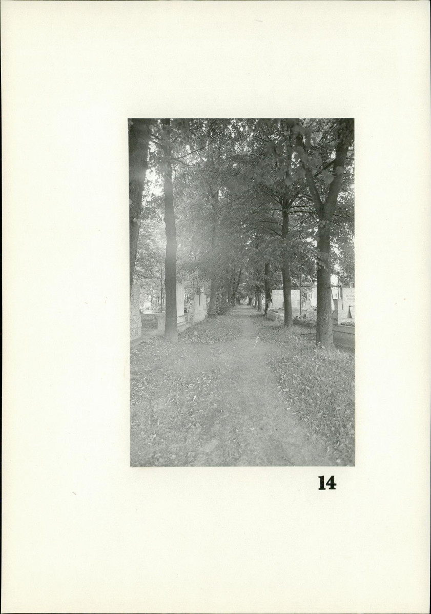 Karta cmentarza, skan nr 12