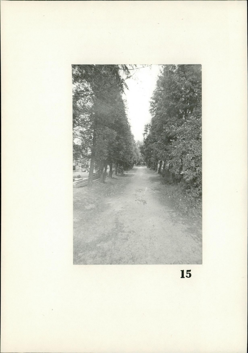 Karta cmentarza, skan nr 13
