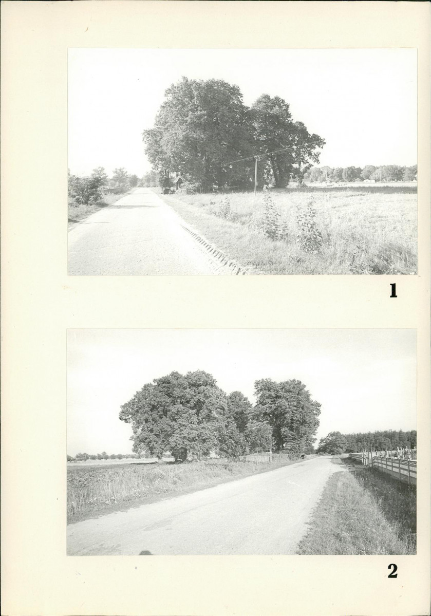 Karta cmentarza, skan nr 5