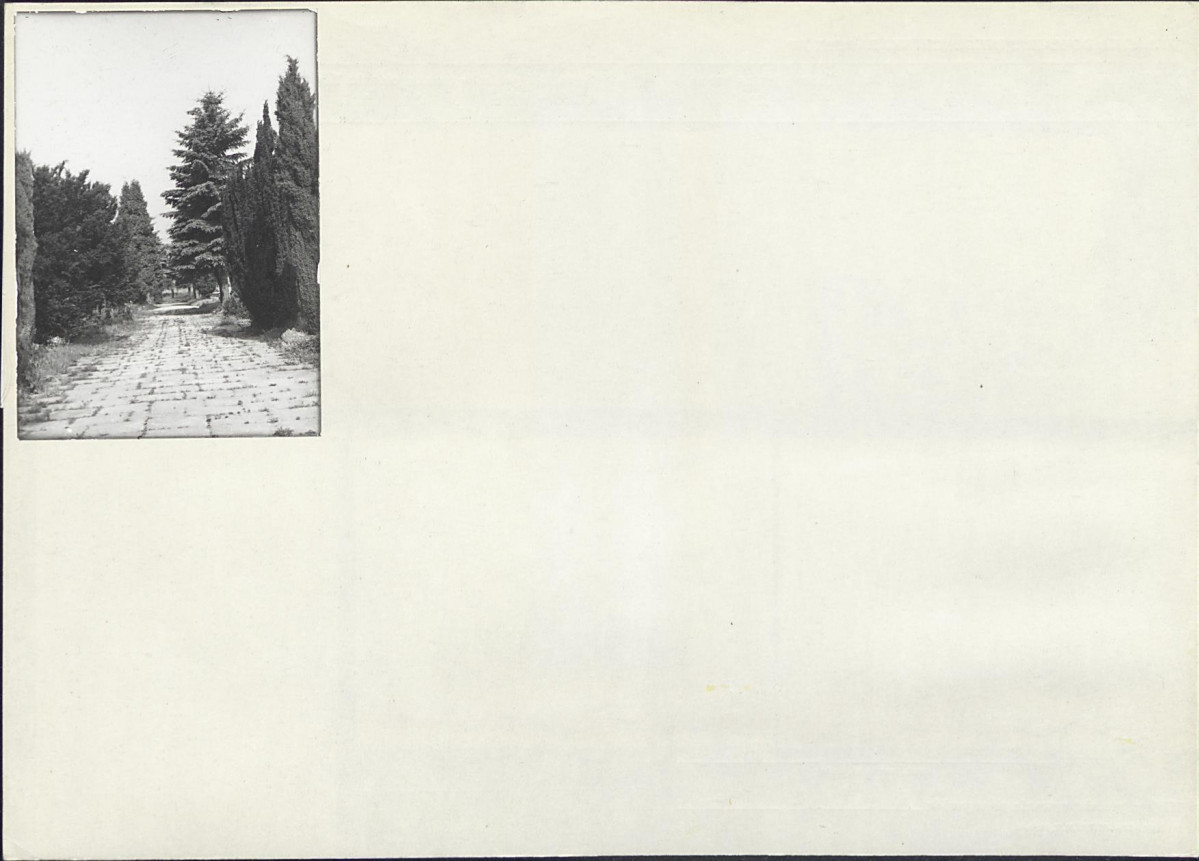 Karta cmentarza, skan nr 6