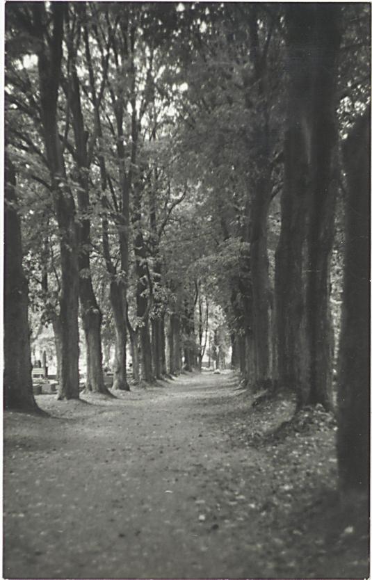 Karta cmentarza, skan nr 9