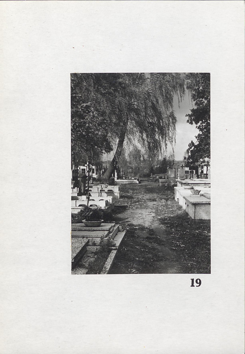 Karta cmentarza, skan nr 17