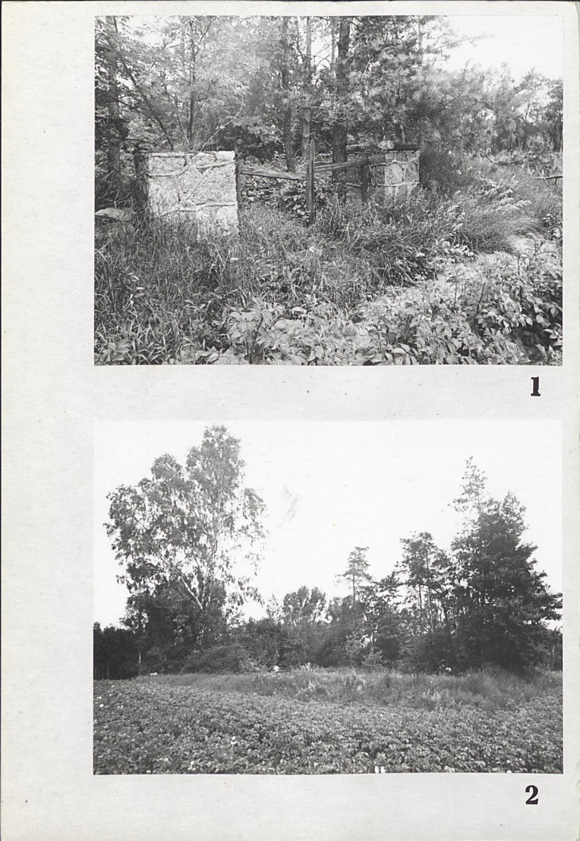Karta cmentarza, skan nr 5
