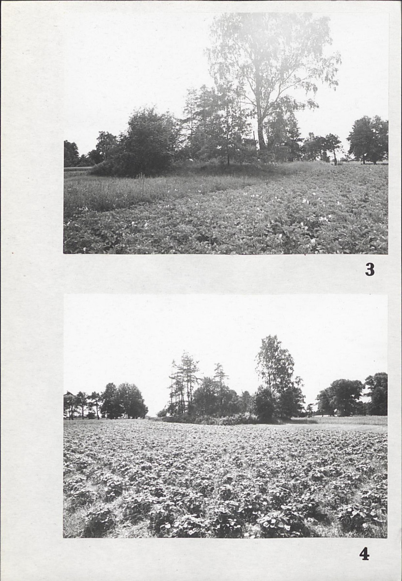 Karta cmentarza, skan nr 6