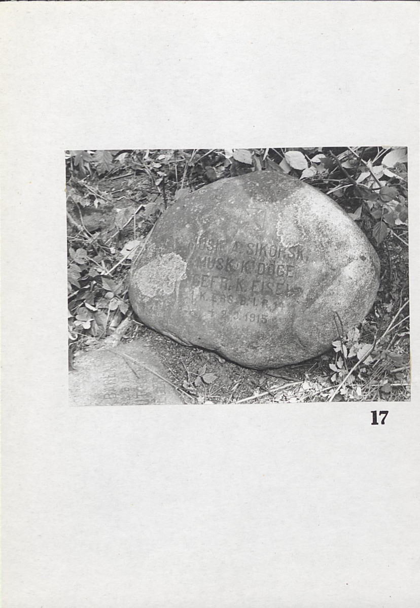 Karta cmentarza, skan nr 13