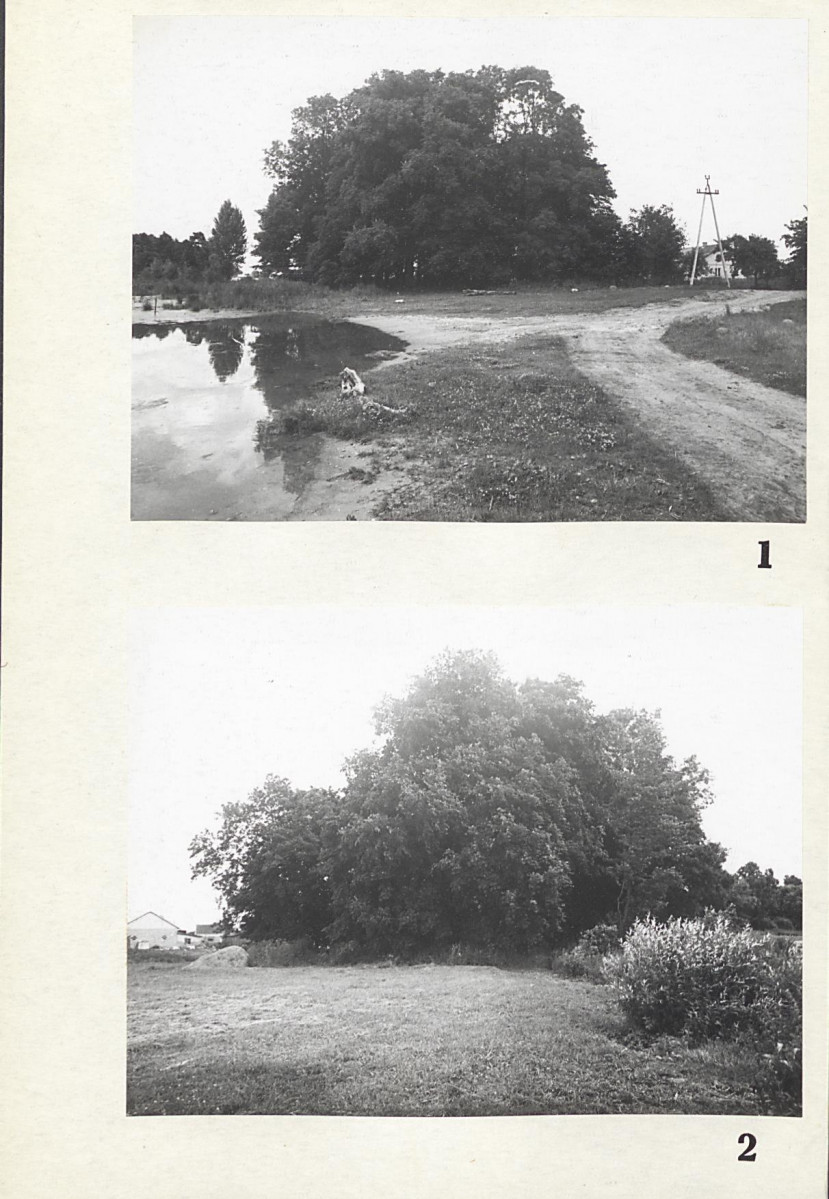 Karta cmentarza, skan nr 5