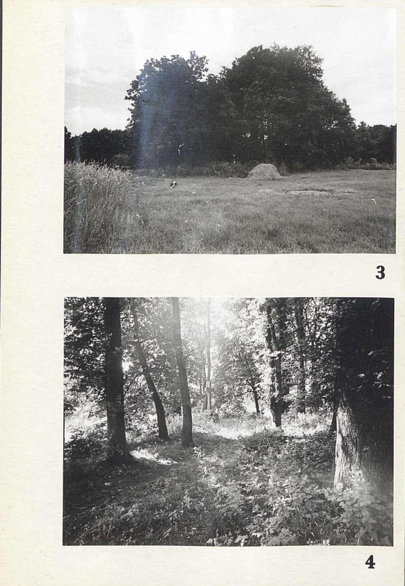 Karta cmentarza, skan nr 6
