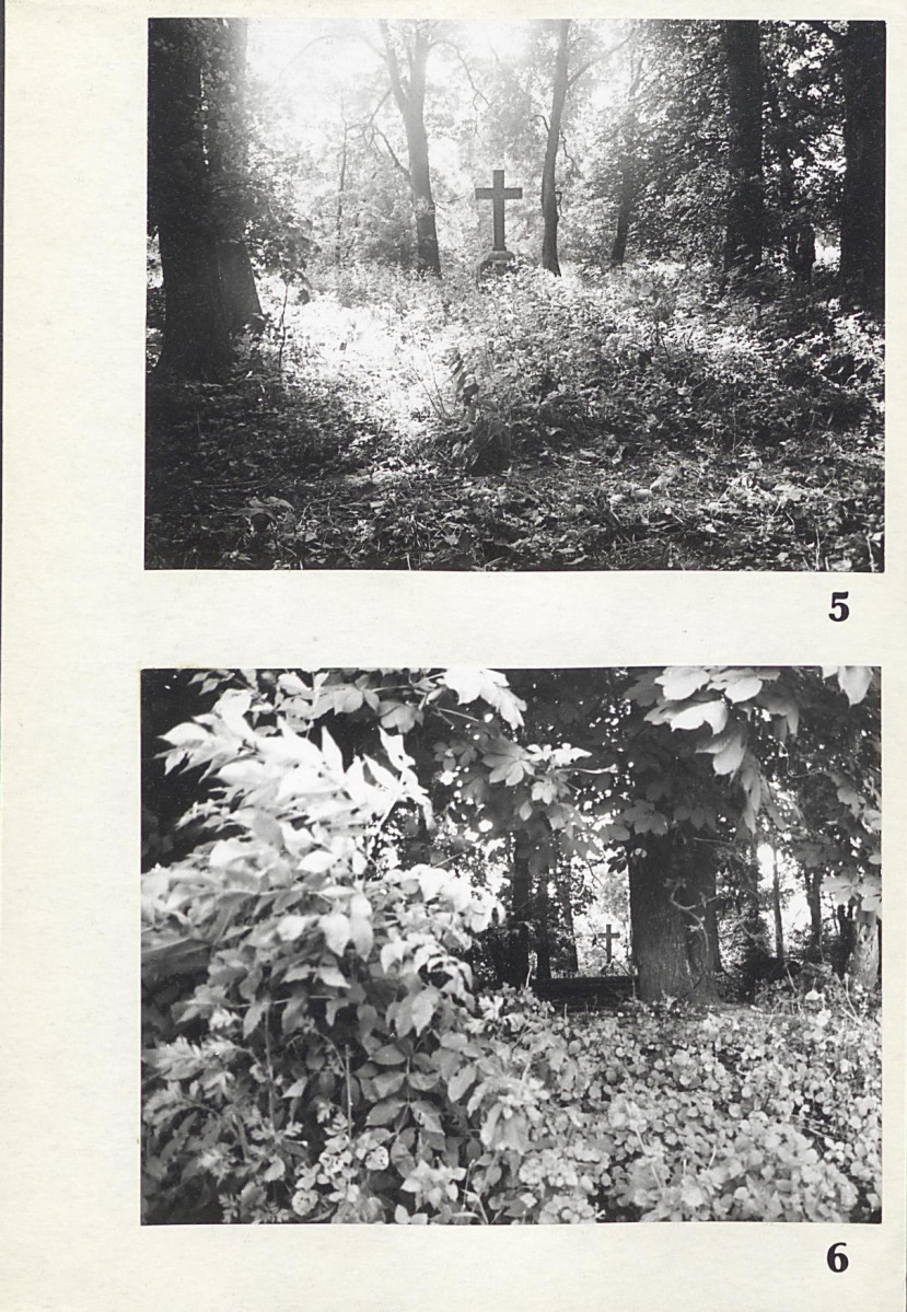 Karta cmentarza, skan nr 7